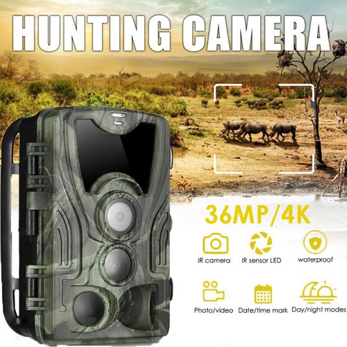 Deer trail camera 36mp 4k - deer,